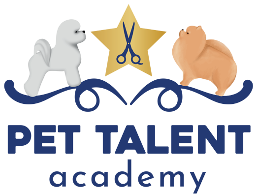 Pet Talent - Cursos de especialização para o mercado pet