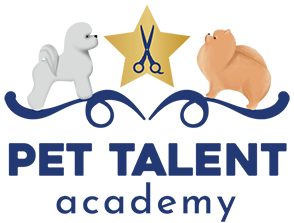 Pet Talent - Cursos de especialização para o mercado pet